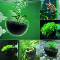 1PC Decoración De Acuario Planta En Vaso De Acrílico Con Soporte De Absorción Para Río Rojo Alimento Para Peces En Tanque Vaso De Jardinería - details 0