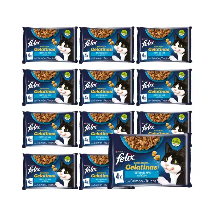 FELIX - Sensations Gelatina (48x85 gr) - Comida Húmeda Festín del Mar (Salmón y Trucha) (12x4x85 gr) - 1