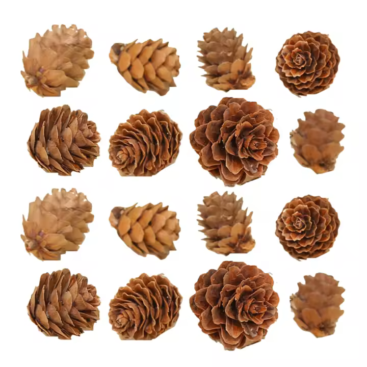 100 Pcs Conos De Pino Miniatura De Madera Para Decoración De Árbol De Navidad Y Props Fotográficos Creativos Artesanía Clásica - 1
