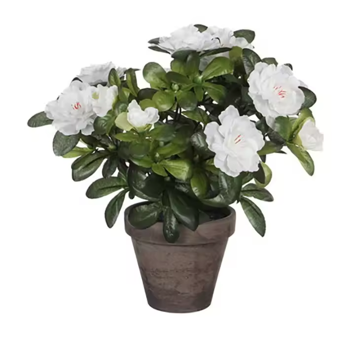 Azalea Artificial Blanca en Tiesto Gris 11,5x27cm - 1