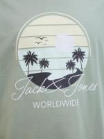 Jack & Jones SS25 Hombre Pack 2 Camisetas de Algodón Mod JJPALM TEE CREW logo estampado Moda Casual Informal REF 269418 - details 10