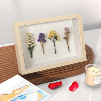 Marco De Fotos Cuadrado Con Esterilla Y Mariposa Specimen Hueco Marco De Pintura Al Óleo Para Familia Expositor De Imágenes Decoración Del Hogar - details 3