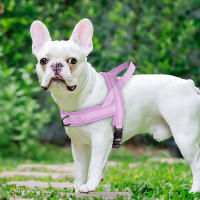 Harnés De Nylon Para Perros Y Gatos Con Colchón Ajustable Suave Para Exterior No Pull Para Bulldog Francés Chihuahua Perro Pupusa Color Negro/Azul/Rosa Tamaños XS/S/M - details 9