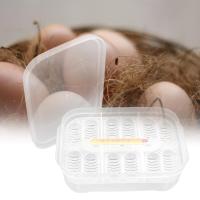 Caja De Incubación Para Reptiles Herramienta De Hatchery DIY Contenedor Para Criaderos De Tortugas Geckos Y Serpientes Material Plástico - details 3