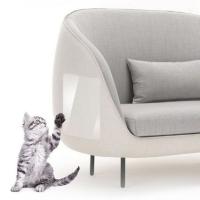 Cinta Antirascas Para Gatos Transparente 15x100cm Protección De Muebles Guardia De Sofá Prevenção De Rasguños Adhesivo Para Muebles - details 2