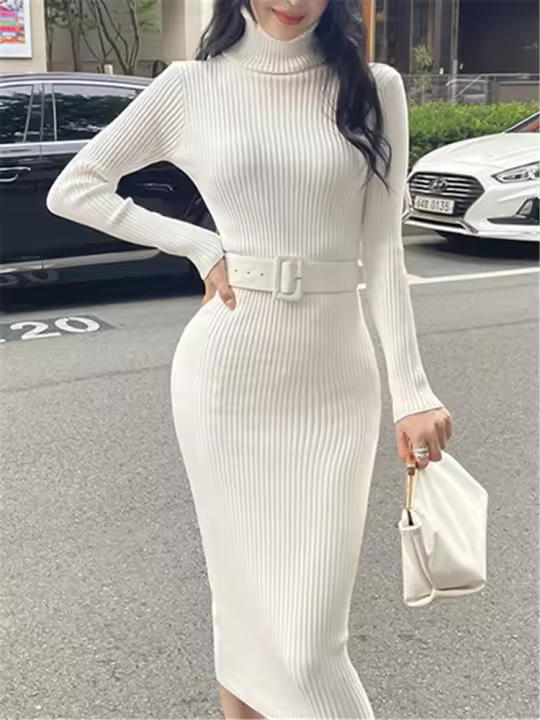 Vestido De Térmica Otoño Invierno Para Mujer Seoulish Con Cuello Alto Y Manga Larga Cinturado Estilo Elegante Oficina Longitud Rodilla Ajustado Bodycon - 1