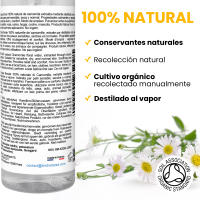 Hidrolato de Manzanilla | Agua de Manzanilla / Camomila Orgánica 100% Natural Certificado COSMOS - bleu & marine Bretania - details 1
