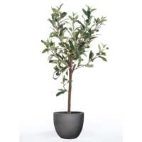 Emerald Miniolivo artificial 65 cm - details 0