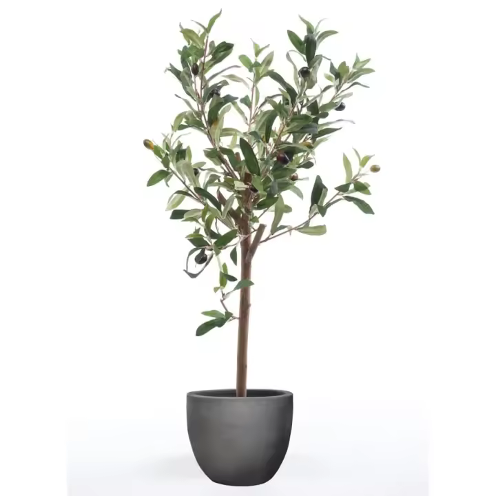Emerald Miniolivo artificial 65 cm - 1