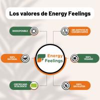 Energy Feelings Cúrcuma Chai Latte Ecológico 500 gr, Cúrcuma en Polvo para Golden Latte, Apto para Veganos, Sin Lactosa, Sin Gluten, Biodisponible, Antiinflamatorio Natural, Refuerza el Sistema Inmunitario - details 3