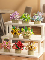Bloque De Construcción Micro De Rosa Eterna Juguete Asamblea Para Niños Regalo Ornamento De Flor En Maceta Bloque De Plástico ABS Sin Batería Origen China - details 8