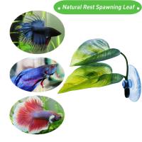 Decoración De Acuario Hoja Artificial Para Tanque De Peces Betta Decoración De Relajamiento Y Juego Para Acuarios - details 1
