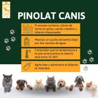 PINOLAT CANIS – Leche en polvo para perros cachorros de Laboratorios Pino + cacillo medidor + biberón. 500Gr. - details 0