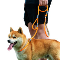 Correa Y Collar Para Perros De Nylon Doble Mano Para Entrenamiento Sin Arrastre Fuerte Para Perros Medianos Y Puppies - details 0