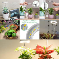 Crece la luz, luz completa del espectro LED para las plantas interiores, 5V - details 1