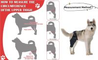 Férula Para La Rodilla De Perro Para Dolor De Articulaciones Y Muscular Soporte Para Pierna Trasera Para Ancianos Perros Discapacitados Y Heridos Material De Poliéster - details 2