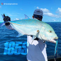 Señuelo De Pesca Noeby Stickbait Sumergible Para Atún En Agua Salada Tipo Señuelo De Lápiz Tamaño 115mm 150mm 185mm Peso 60.5g 62g 126.5g - details 3