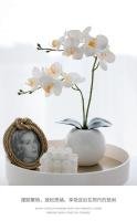 Orquídea Falsa De Seda Mariposa Para Decoración De Hogar Jardín Accesorios De Vaso Decoración De Boda Flor Artificial Estilo Bouquet - details 4
