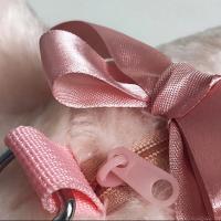 Bolso Bandolera Kawaii Rosa Cerdo Suave De Peluche Con Lazo Cierre De Cremallera Para Estudiantes Y Niños Bolsa De Hombro De Animal Lindo - details 10
