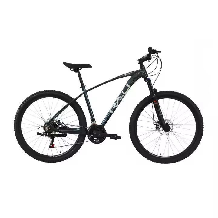 Bicicleta Rali A-Uno (29″) disco mecanico 2025 TALLA S - 1