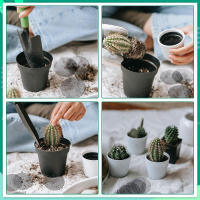 Malla De Filtro De Agujeros Redondos Para Macetas 50 Piezas Previene La Pérdida De Tierra Con Agujero De Drenaje Plástico Para Jardinería - details 4