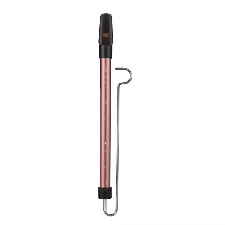 Metal Slide Whistle Scale Sliding Flute with Steel Sliding Rod Musical Instrument Toy for Children K - 1