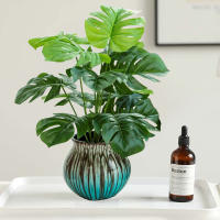 Planta Artificial De Monstera De 43 Cm Con 12 Hojas Hojas Verdes De Palma Tropicales Para Decoración De Jardín Y Hogar - details 0