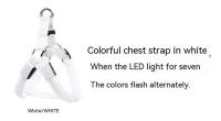 Arnes Ajustable Para Perro Con LED No Pull Nylon Brillante Para Pequeños Y Medianos Seguridad Nocturna Accesorios Para Mascotas - details 5