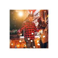 Guirnaldas 25 LED Luces Exterior Solar Bombilla, 7.62M G40 Cadena de Luces, 25+2 LED Luces Led Solares Exteriores, Impermeable 8 Modos Guirnaldas Luminosas Exterior y Interior para Jardín Boda Casa Fiesta Navidad - details 6