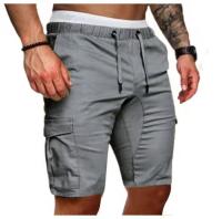 Shorts Casuales Para Diario Viaje Pantalones De Hombre Estilo Regular Cintura Media Polyester Primavera Verano Con Bolsillos - details 6