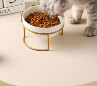 Tazón De Cerámica Para Gatos Y Perros 500ML Con Soporte Elevado Alimentos Y Agua Dispensador Accesorios Para Gatos Tazón Doble De Forma Redonda - details 7