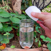 Juego De 4 Herramientas De Riego Automáticas Para Jardín 500ml Sistemas De Riego Por Goteo Para Plantas En Macetas Con Antleritos - details 2