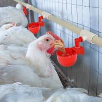 6-36pcs Dispensador Automático De Agua Para Pollos Bebedero De Pájaros Granja Suministros Para Aves Como Pollo Pato Ganso - details 1