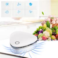 Generador de Ozono portátil Purificador para cocinas, Baños, Coches. Desinfectante eliminador de olores - details 1