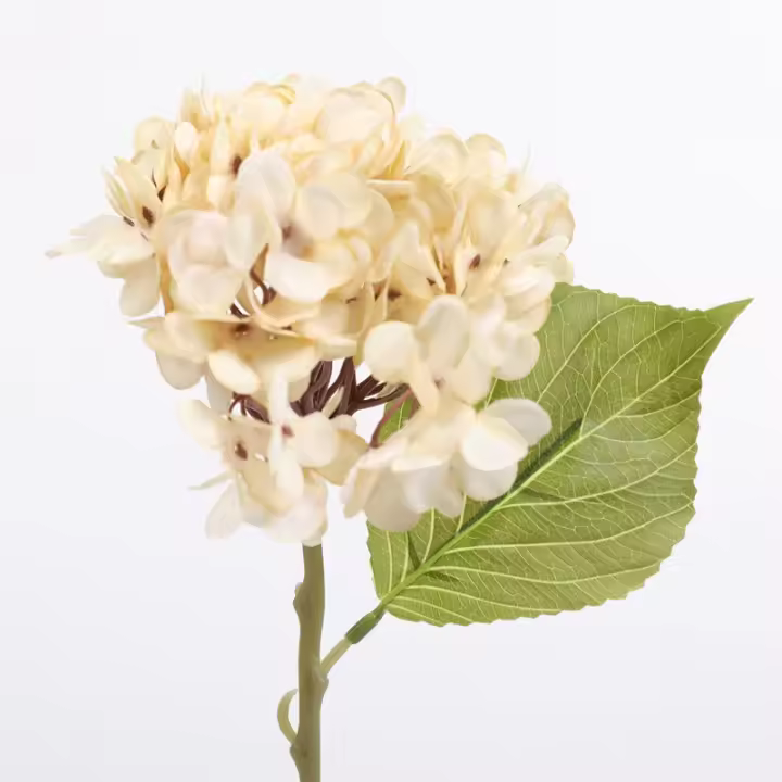 1 Pieza De Algodón Artificial De Hydrangea Para Decoración De Hogar Accesorios De Boda Regalos Para Fotografía Props De Novia Interior - 1