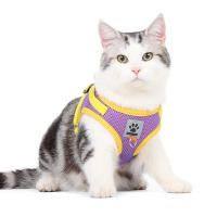 Correa Y Arnes Para Perro Y Gato De Malla Transpirable Para Verano Con Reflejos Seguro Para Chihuahua Yorkies Arnes De Cuello Básico Para Mascotas - details 14