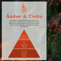 LILI HOME Ambientador ZEN ÁMBAR – Relajación y bienestar en tu hogar.  ✔️ Mikado (40 ml)✔️ Vela aromática (125 g)✔️ Spray ambientador (225 ml). Fragancias disponibles: 🌸 Cerezo en Flor 🍵 Té Chai 🌲 Ámbar y Cedro - details 2