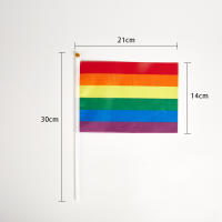 10PCS Banderas Arcoíris Pequeñas Y Fáciles De Sostener Para Festival Y Desfile De Orgullo Gay Material Plástico - details 6