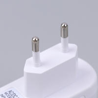 Adaptador De Poder EU Para Humidificador De Aromaterapia 24V 650ma Cargador Adaptador De Poder EU Para Herramientas Manuales - details 10