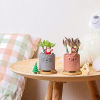 7cm lindo animal planta macetas, pequeño animal plantadores con platillo conjunto de 6, pequeñas macetas de cerámica para suculentas cactus, (sin plantas) - details 0