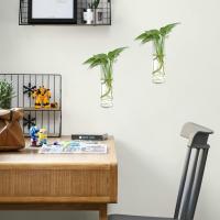 2pcs Jarrones De Vidrio Para Plantas Perfectos Para Decoración De Hogar Jardines Oficinas Accesorios Tubos Contenedores Montados En La Pared - details 1