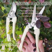 Tijeras De Acero Inoxidable Para Cortar Flores Arreglo De Flores Podar Árboles De Fruta Jardín Herramientas De Corte Para Casa Grafting Set - details 5