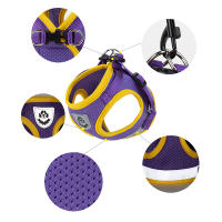 Juego De Arnes Y Correa Para Perros De Verano Transpirable Malla Reflectante Para Mascotas Gatos Y Chihuahuas Yorkies - details 2