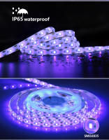 Tira De Luz LED UV DC 5V 395-405nm 1M 2M 3M SMD 2835 Impermeable Para USB Para El Hogar Y Jardín Cadena De Luces Flexibles - details 5