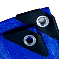 Tarpaulin Grande Impermeable De 2mx2m/3m Cubierta De Lluvia Para Jardín Fuerte Y Multipropósito Awning Canopy Para Exterior - details 6
