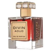 Perfume arabe unisex Divin Aoud French Avenue 100ml,Fragancia masculina y femenina duradera,lujosa,oriental Colonia de mujer y de hombre NOVEDAD - details 1