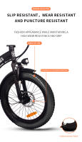 Bicicleta Eléctrica Plegable AVAKA BZ20 Plus 20 pulgadas 48V18.2Ah - Motor 500W-Brake de Disco Doble - Rueda Grasa 3,0 "-Bathería Extraible-Pantalla LCD - details 10