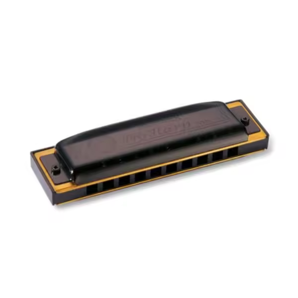 Armónica Hohner Pro Harp 20V 562/20 (F) - 1