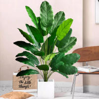 Árbol De Palma Tropical Artificial 65-120cm Hojas De Plátano Falsas Toque Real Strelitzia Plantas De Plástico Para Jardín Y Hogar - details 0