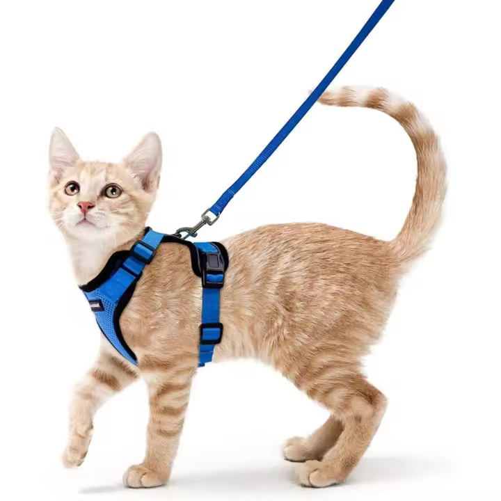 Arnés y Correa para Gatos, a prueba de fugas, With Anilla metálica para Correa, ligero, ligero, reflectant, adjustable, Talla S, Azul - 1